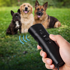Hand holding a black electronic device with three dogs in the background on grass
